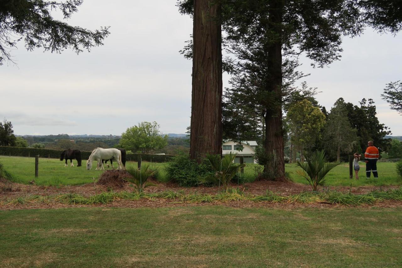 Apartamento Cosy Nights - Modern, Self-Contained With Parking Kerikeri Exterior foto